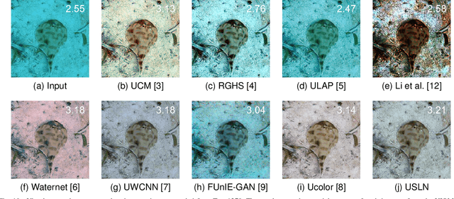 Figure 2 for USLN: A statistically guided lightweight network for underwater image enhancement via dual-statistic white balance and multi-color space stretch