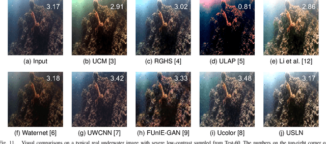 Figure 3 for USLN: A statistically guided lightweight network for underwater image enhancement via dual-statistic white balance and multi-color space stretch