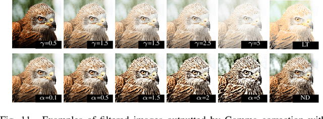 Figure 3 for Semantically Adversarial Learnable Filters