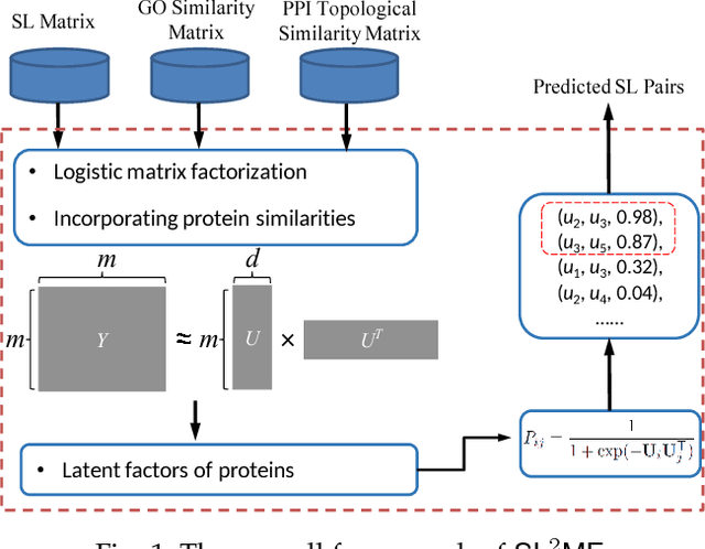 Figure 1 for SL$^2$MF: Predicting Synthetic Lethality in Human Cancers via Logistic Matrix Factorization