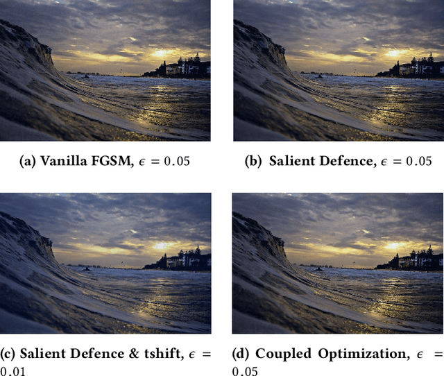 Figure 4 for MediaEval 2019: Concealed FGSM Perturbations for Privacy Preservation