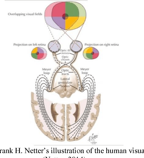Figure 1 for Robot Vision: Calibration of Wide-Angle Lens Cameras Using Collinearity Condition and K-Nearest Neighbour Regression