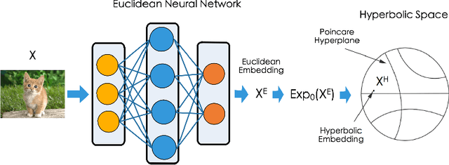 Figure 1 for Free Hyperbolic Neural Networks with Limited Radii