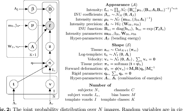 Figure 2 for Flexible Bayesian Modelling for Nonlinear Image Registration