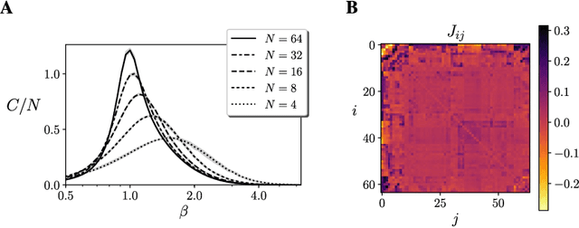 Figure 2 for Adaptation to criticality through organizational invariance in embodied agents