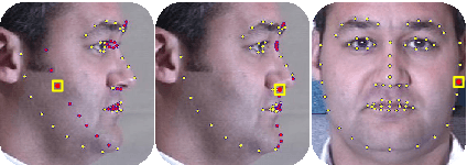 Figure 3 for A Unified Tensor-based Active Appearance Face Model