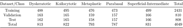 Figure 2 for Is Image Size Important? A Robustness Comparison of Deep Learning Methods for Multi-scale Cell Image Classification Tasks: from Convolutional Neural Networks to Visual Transformers
