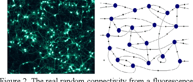 Figure 2 for Shallow Unorganized Neural Networks using Smart Neuron Model for Visual Perception