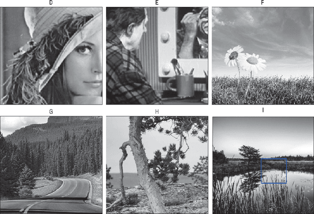 Figure 2 for A random walk on image patches