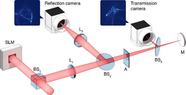 Figure 1 for Differentiable model-based adaptive optics with transmitted and reflected light