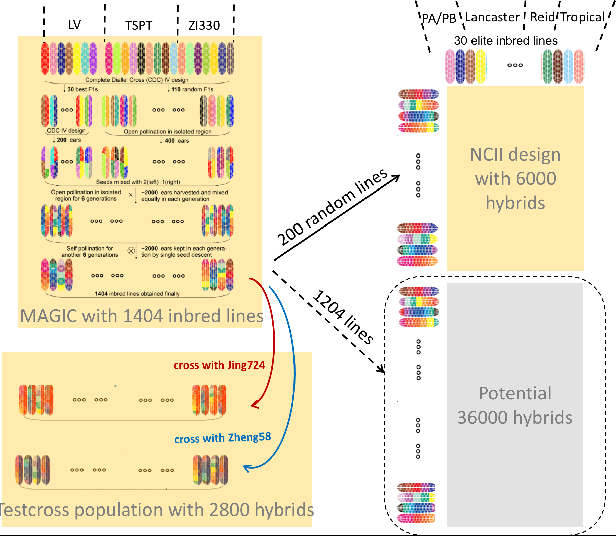 Figure 1 for Applying Machine Learning To Maize Traits Prediction
