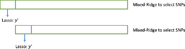 Figure 4 for Applying Machine Learning To Maize Traits Prediction
