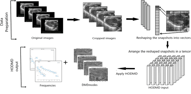 Figure 1 for Higher Order Dynamic Mode Decomposition: from Fluid Dynamics to Heart Disease Analysis