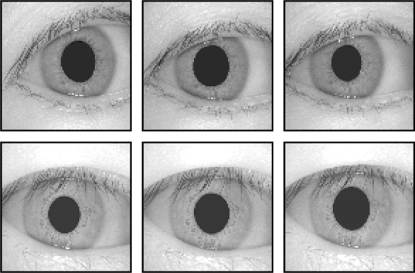 Figure 1 for Efficient IRIS Recognition through Improvement of Feature Extraction and subset Selection