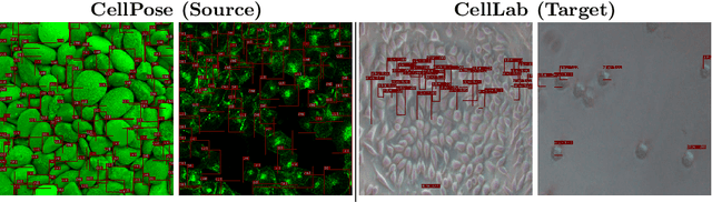 Figure 3 for Seamless Iterative Semi-Supervised Correction of Imperfect Labels in Microscopy Images