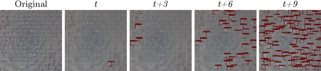 Figure 4 for Seamless Iterative Semi-Supervised Correction of Imperfect Labels in Microscopy Images