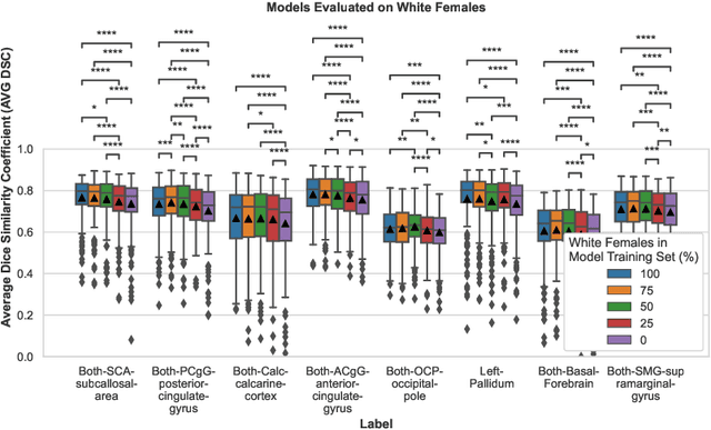 Figure 2 for A Study of Demographic Bias in CNN-based Brain MR Segmentation