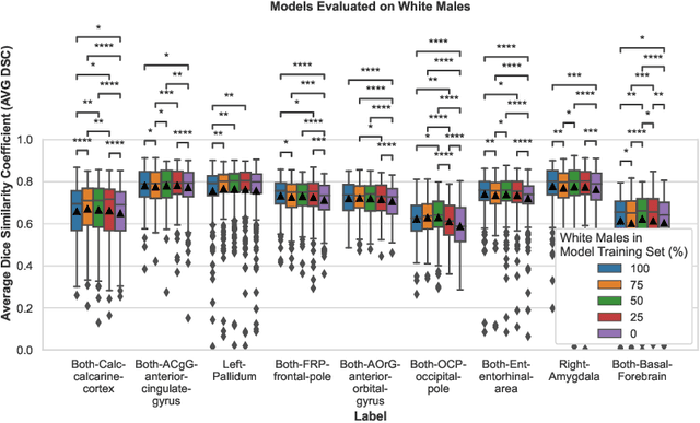 Figure 3 for A Study of Demographic Bias in CNN-based Brain MR Segmentation