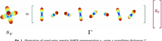 Figure 1 for Joint Spatial-Angular Sparse Coding for dMRI with Separable Dictionaries