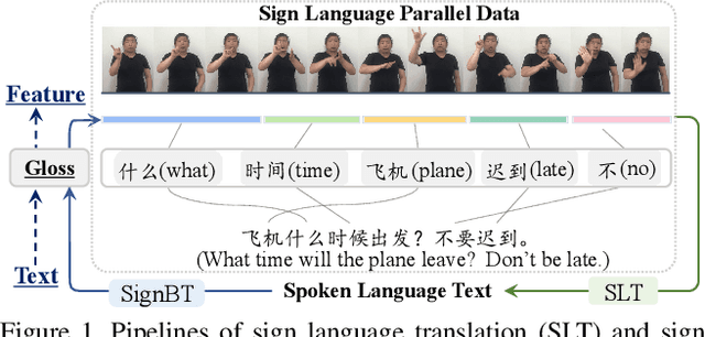 Figure 1 for Improving Sign Language Translation with Monolingual Data by Sign Back-Translation