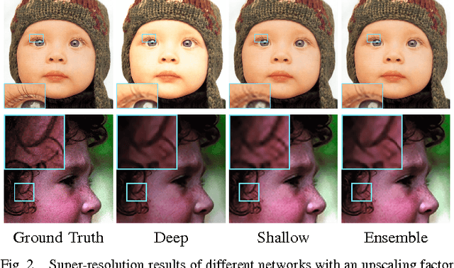 Figure 2 for End-to-End Image Super-Resolution via Deep and Shallow Convolutional Networks