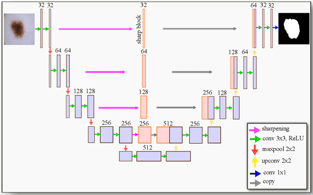 Figure 1 for Sharp U-Net: Depthwise Convolutional Network for Biomedical Image Segmentation