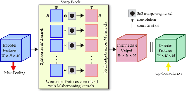 Figure 3 for Sharp U-Net: Depthwise Convolutional Network for Biomedical Image Segmentation