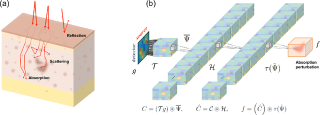 Figure 1 for Deep Learning Can Reverse Photon Migration for Diffuse Optical Tomography
