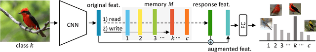 Figure 2 for Fine-grained Classification via Categorical Memory Networks