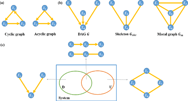 Figure 1 for Causal inference of brain connectivity from fMRI with $ψ$-Learning Incorporated Linear non-Gaussian Acyclic Model ($ψ$-LiNGAM)
