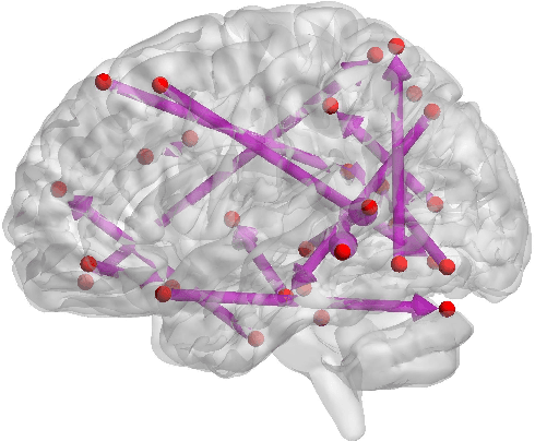 Figure 4 for Causal inference of brain connectivity from fMRI with $ψ$-Learning Incorporated Linear non-Gaussian Acyclic Model ($ψ$-LiNGAM)