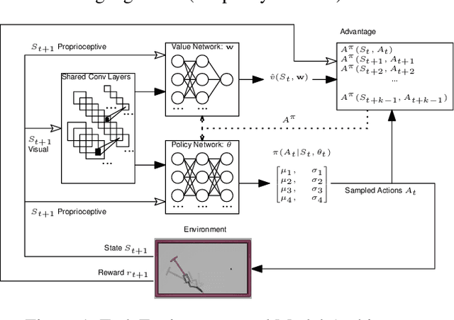 Figure 1 for Emergence of Different Modes of Tool Use in a Reaching and Dragging Task