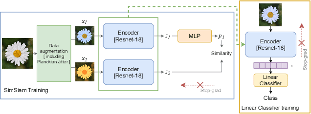 Figure 3 for Planckian jitter: enhancing the color quality of self-supervised visual representations