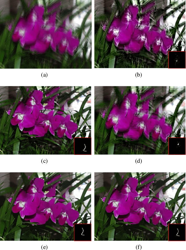 Figure 4 for Single Image Blind Deblurring Using Multi-Scale Latent Structure Prior