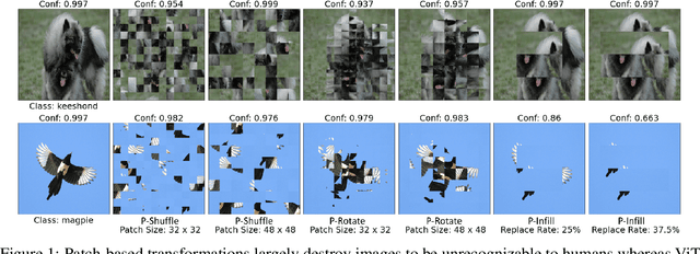 Figure 1 for Understanding and Improving Robustness of Vision Transformers through Patch-based Negative Augmentation