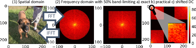 Figure 1 for Band-limited Training and Inference for Convolutional Neural Networks