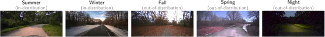 Figure 3 for Are All Vision Models Created Equal? A Study of the Open-Loop to Closed-Loop Causality Gap