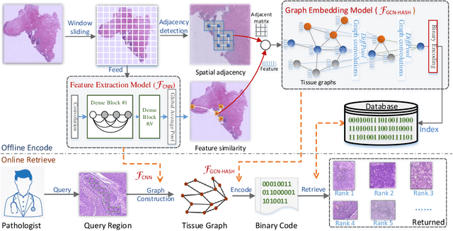 Figure 1 for Histopathology WSI Encoding based on GCNs for Scalable and Efficient Retrieval of Diagnostically Relevant Regions