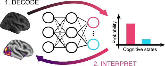 Figure 1 for Evaluating deep transfer learning for whole-brain cognitive decoding