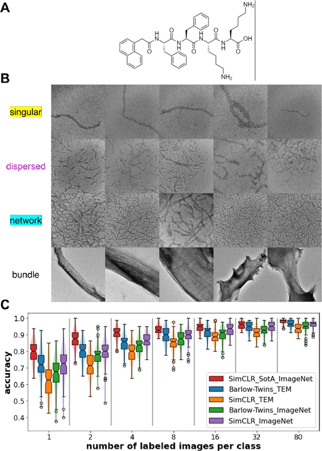 Figure 1 for Self-supervised machine learning model for analysis of nanowire morphologies from transmission electron microscopy images