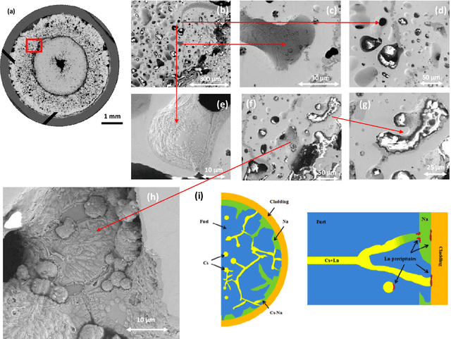 Figure 1 for Understanding Fission Gas Bubble Distribution, Lanthanide Transportation, and Thermal Conductivity Degradation in Neutron-irradiated α-U Using Machine Learning