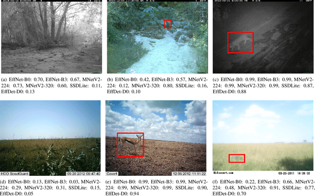 Figure 4 for Filtering Empty Camera Trap Images in Embedded Systems