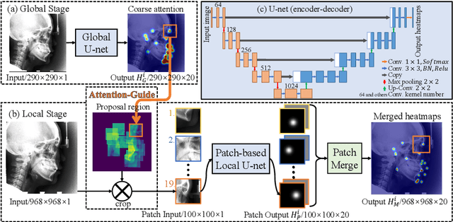 Figure 1 for An Attention-Guided Deep Regression Model for Landmark Detection in Cephalograms