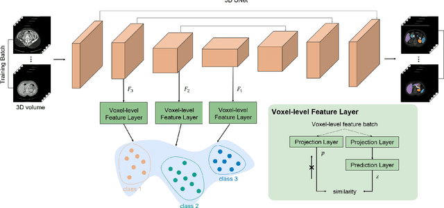 Figure 2 for Voxel-level Siamese Representation Learning for Abdominal Multi-Organ Segmentation