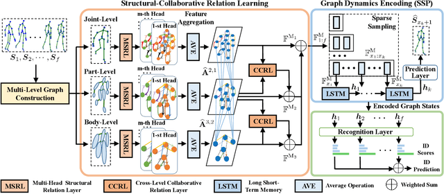 Figure 3 for Multi-Level Graph Encoding with Structural-Collaborative Relation Learning for Skeleton-Based Person Re-Identification