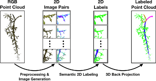 Figure 3 for Multi-View Semantic Labeling of 3D Point Clouds for Automated Plant Phenotyping