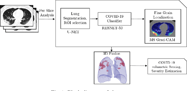 Figure 1 for Coronavirus Detection and Analysis on Chest CT with Deep Learning