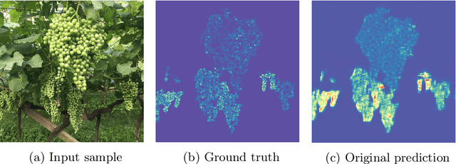 Figure 2 for In-field grape berries counting for yield estimation using dilated CNNs