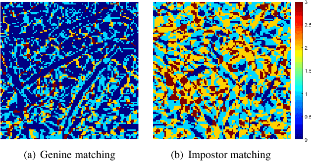 Figure 4 for Revisiting Competitive Coding Approach for Palmprint Recognition: A Linear Discriminant Analysis Perspective