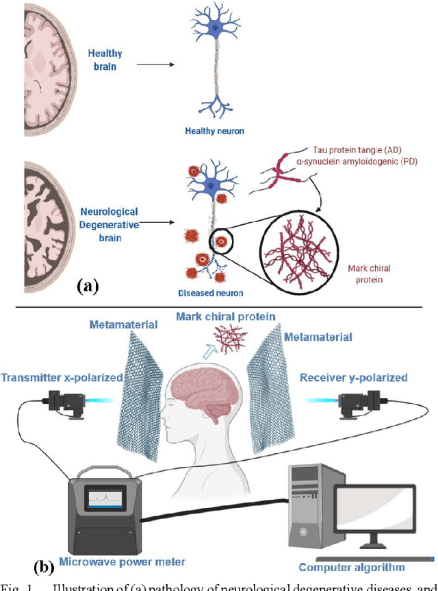 Figure 1 for Microwave Chirality Imaging for the Early Diagnosis of Neurological Degenerative Diseases